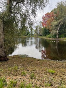 Still pond surrounded by trees with some autumn foliage reflected in the water.